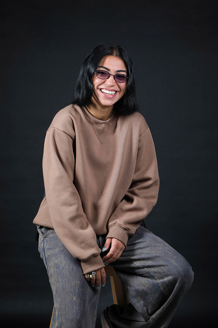 Blank Brown Unisex Sweater | Cotton